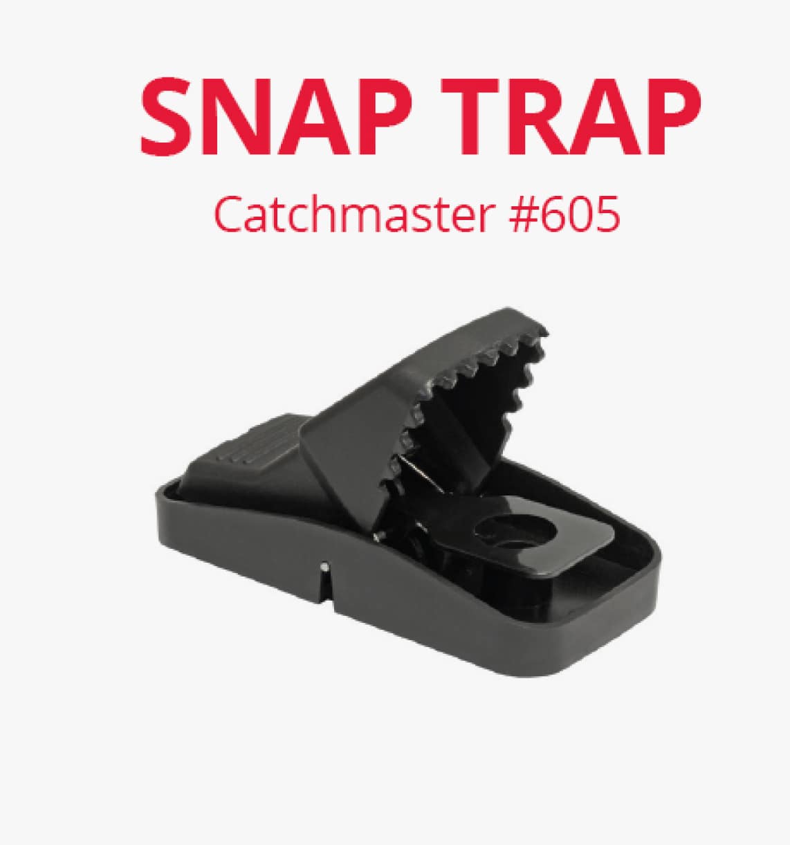 Catchmaster EZ Set Rat Trap Rodent Traps Rat Bait Stations Ecovar